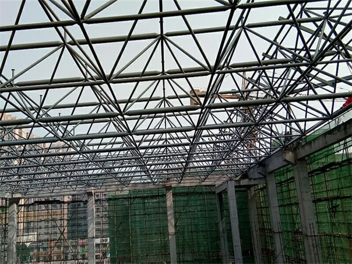 廊坊光谷第十一小学网架